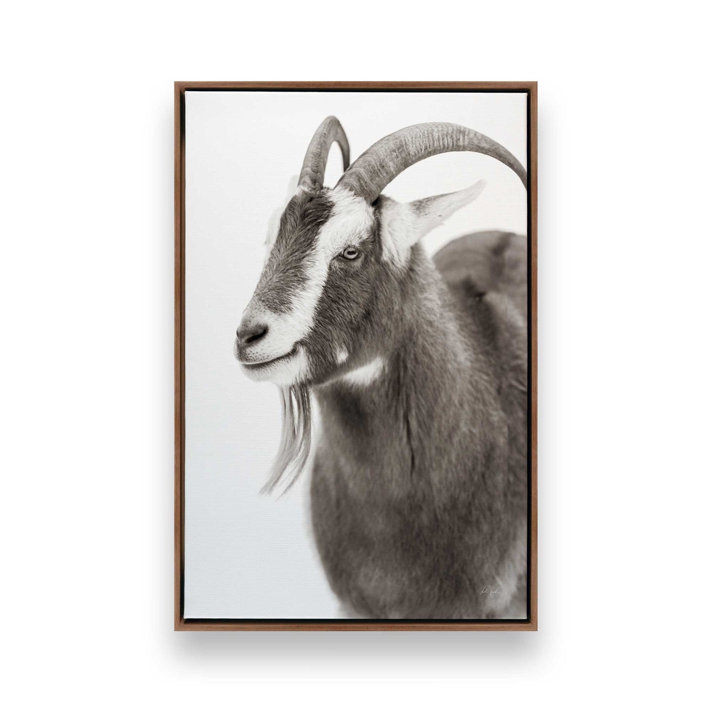 [Color:Walnut], Picture of art in a Walnut frame