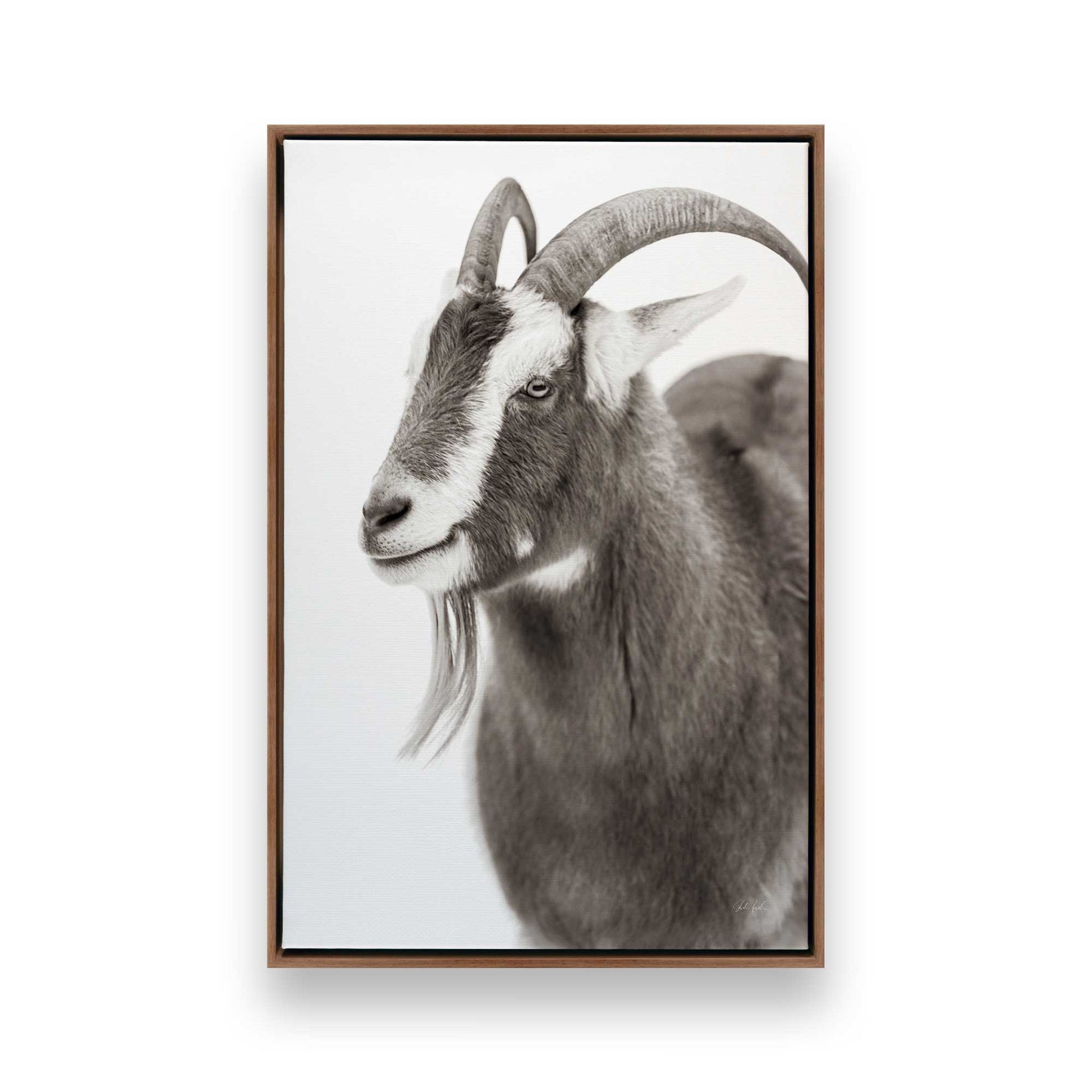 [Color:Walnut], Picture of art in a Walnut frame