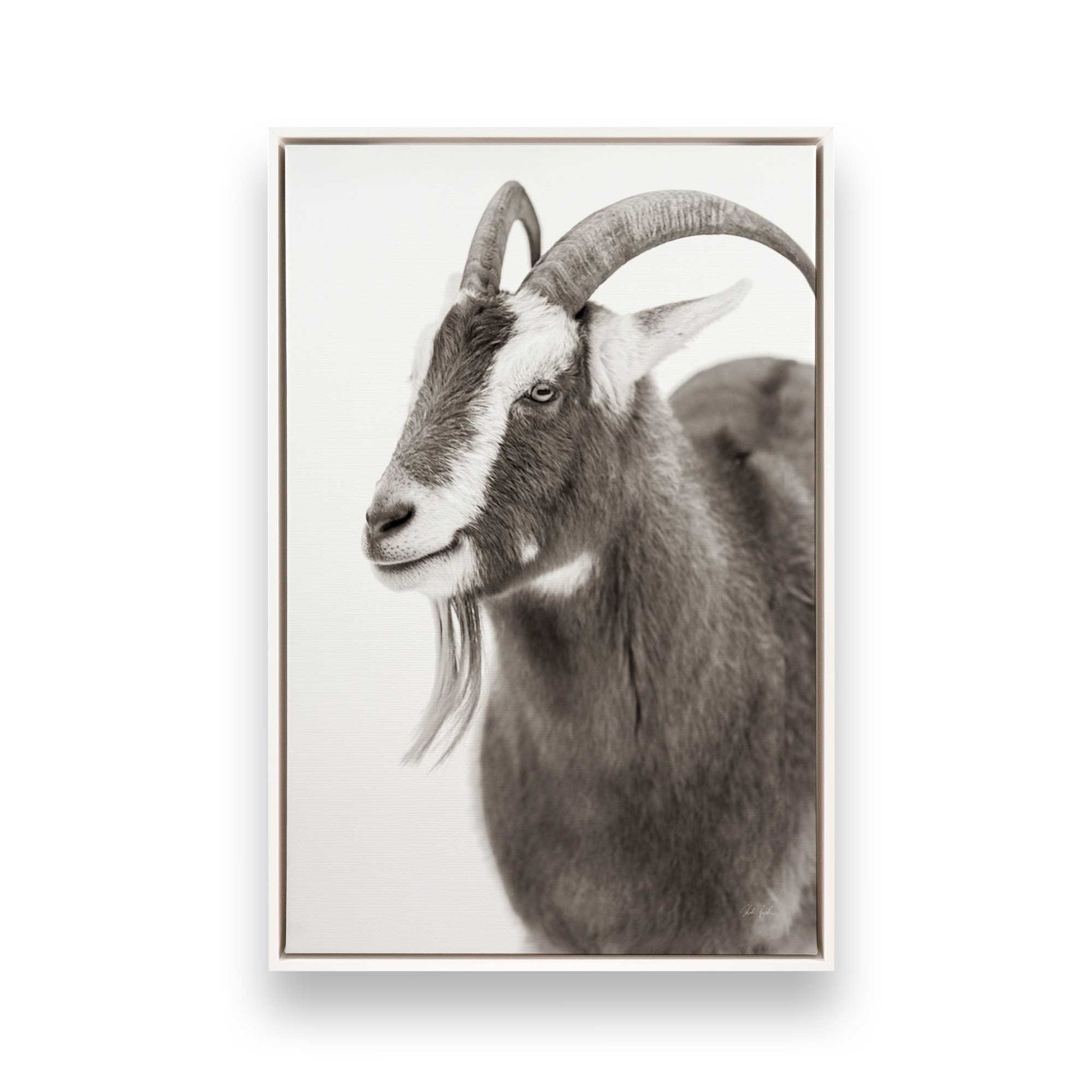 [Color:Opaque White], Picture of art in a White frame