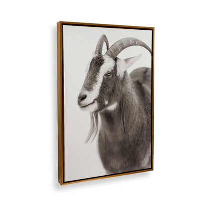 [Color:Polished Gold], Picture of the corner of the art