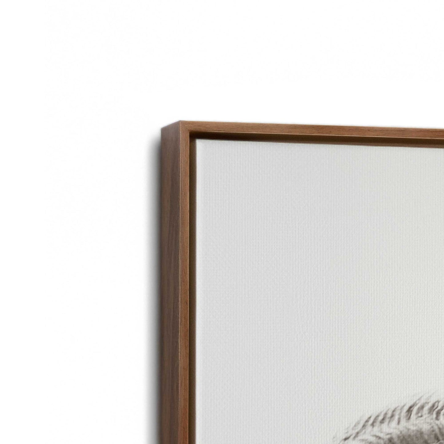 [Color:Walnut], Picture of art in a Walnut frame at an angle