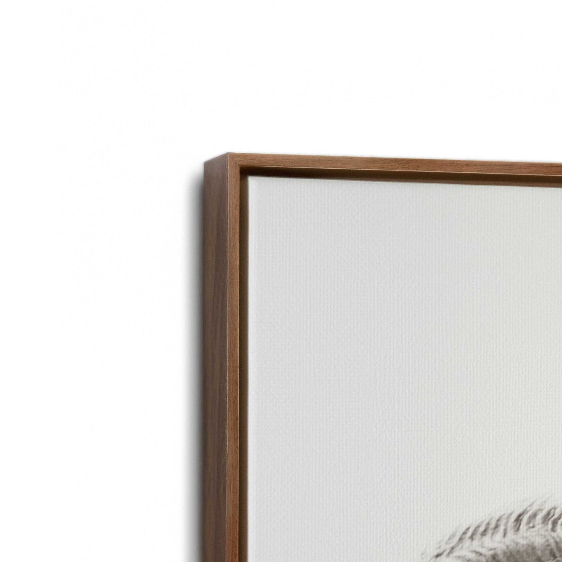 [Color:Walnut], Picture of art in a Walnut frame at an angle