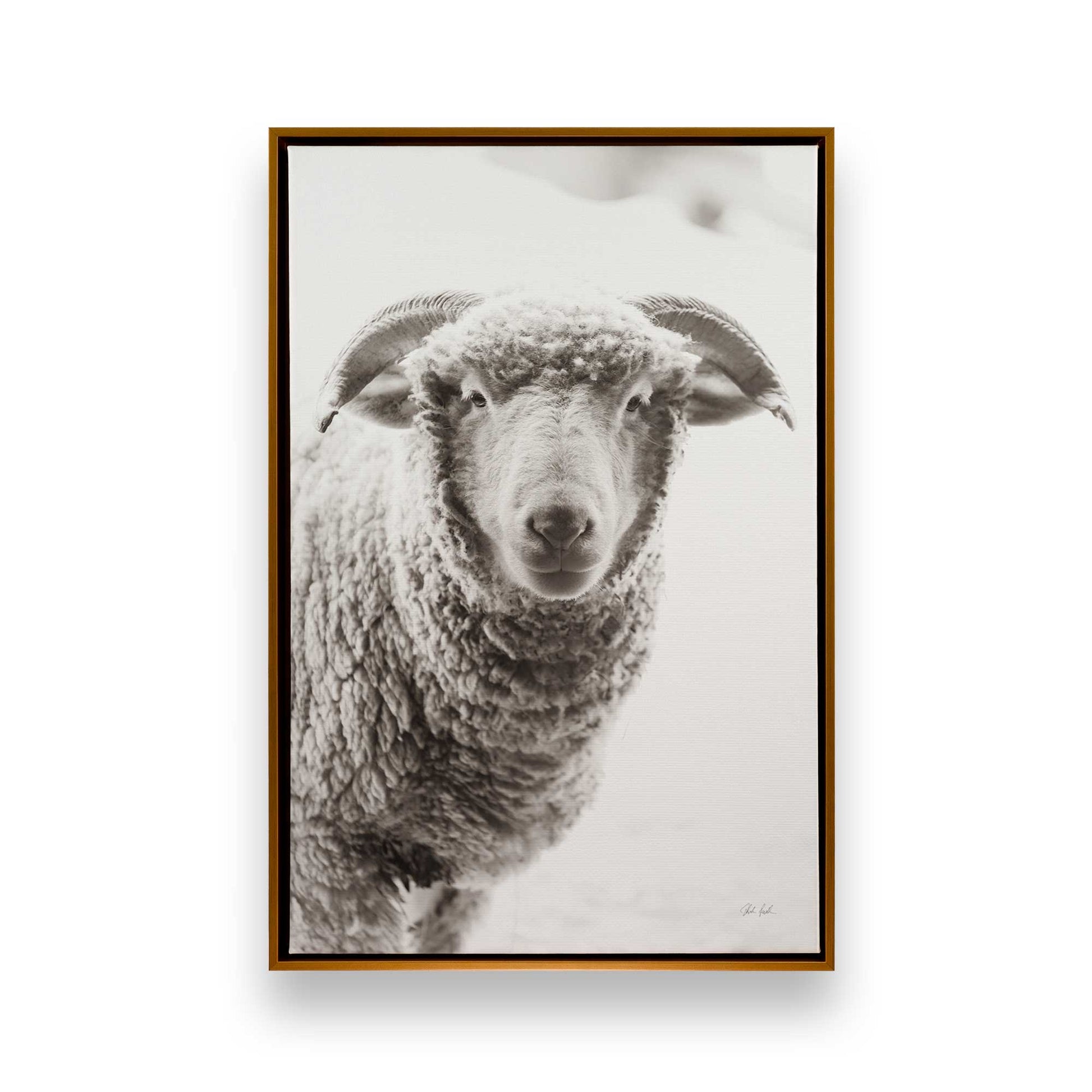 [Color:Polished Gold], Picture of art in a Polished Gold frame