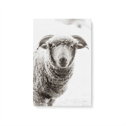 [Color:Stretched Canvas], Picture of art