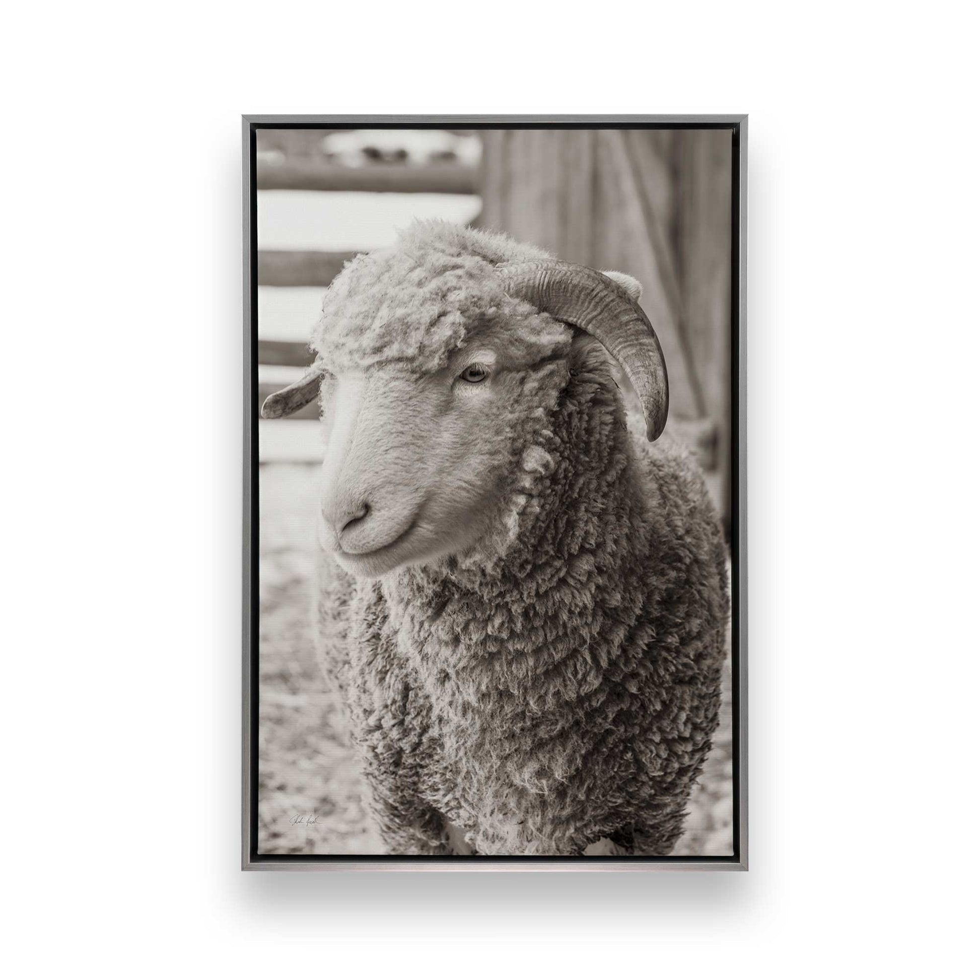 [Color:Polished Chrome], Picture of art in a Polished Chrome frame