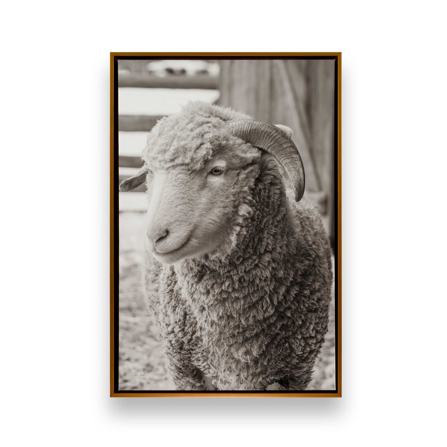 [Color:Polished Gold], Picture of art in a Polished Gold frame
