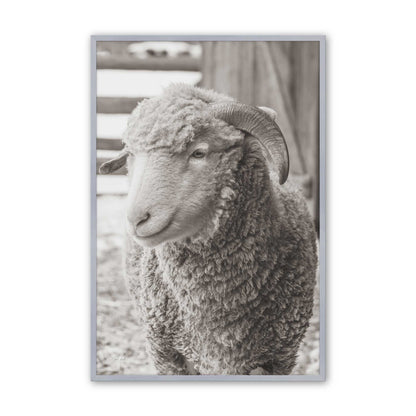 [Color:Polished Chrome], Picture of art in a Polished Chrome frame