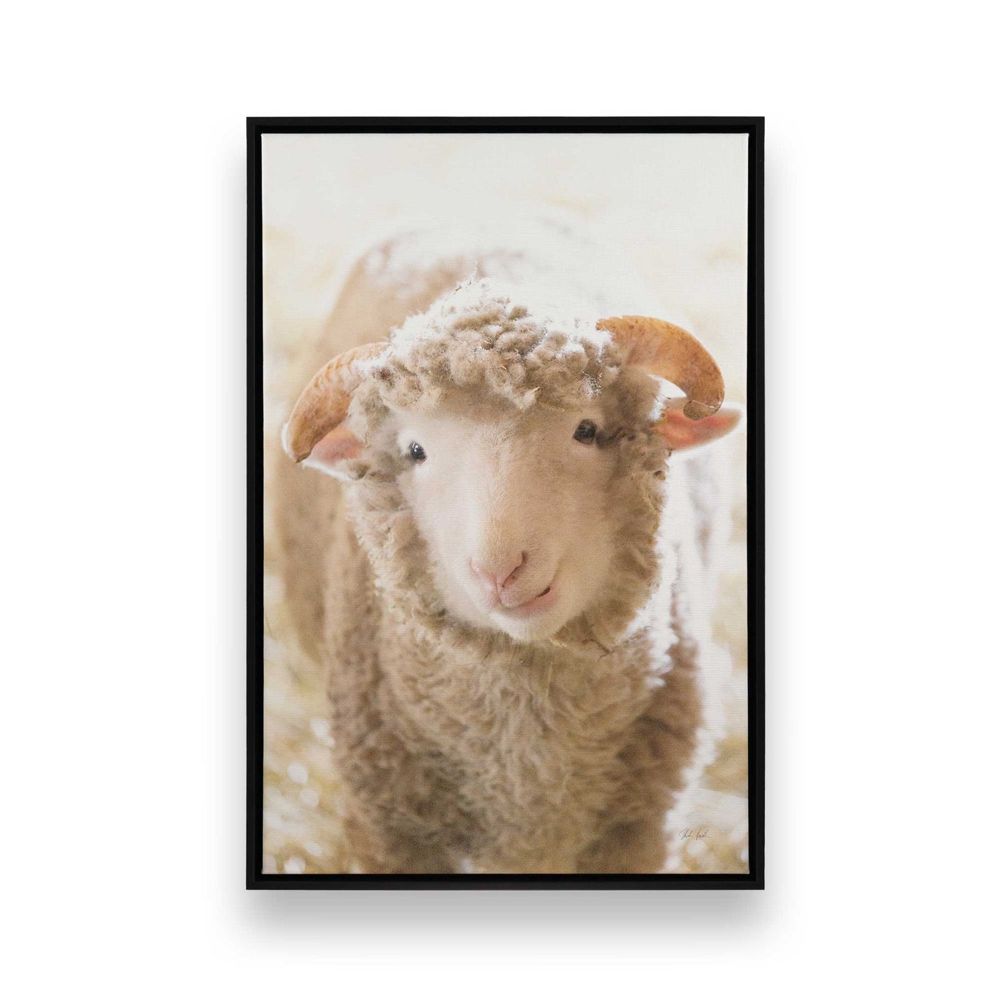 [Color:Satin Black], Picture of art in a Satin Black frame