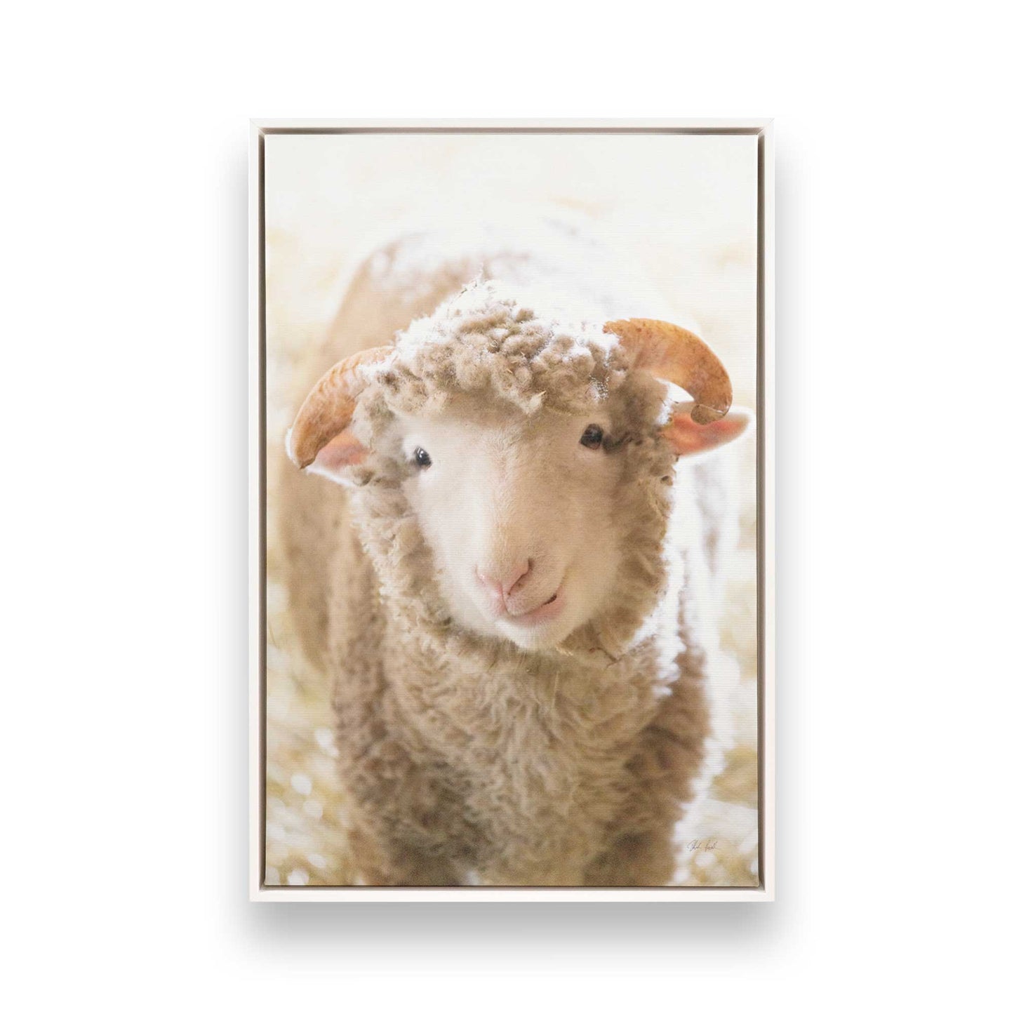 [Color:Opaque White], Picture of art in a White frame