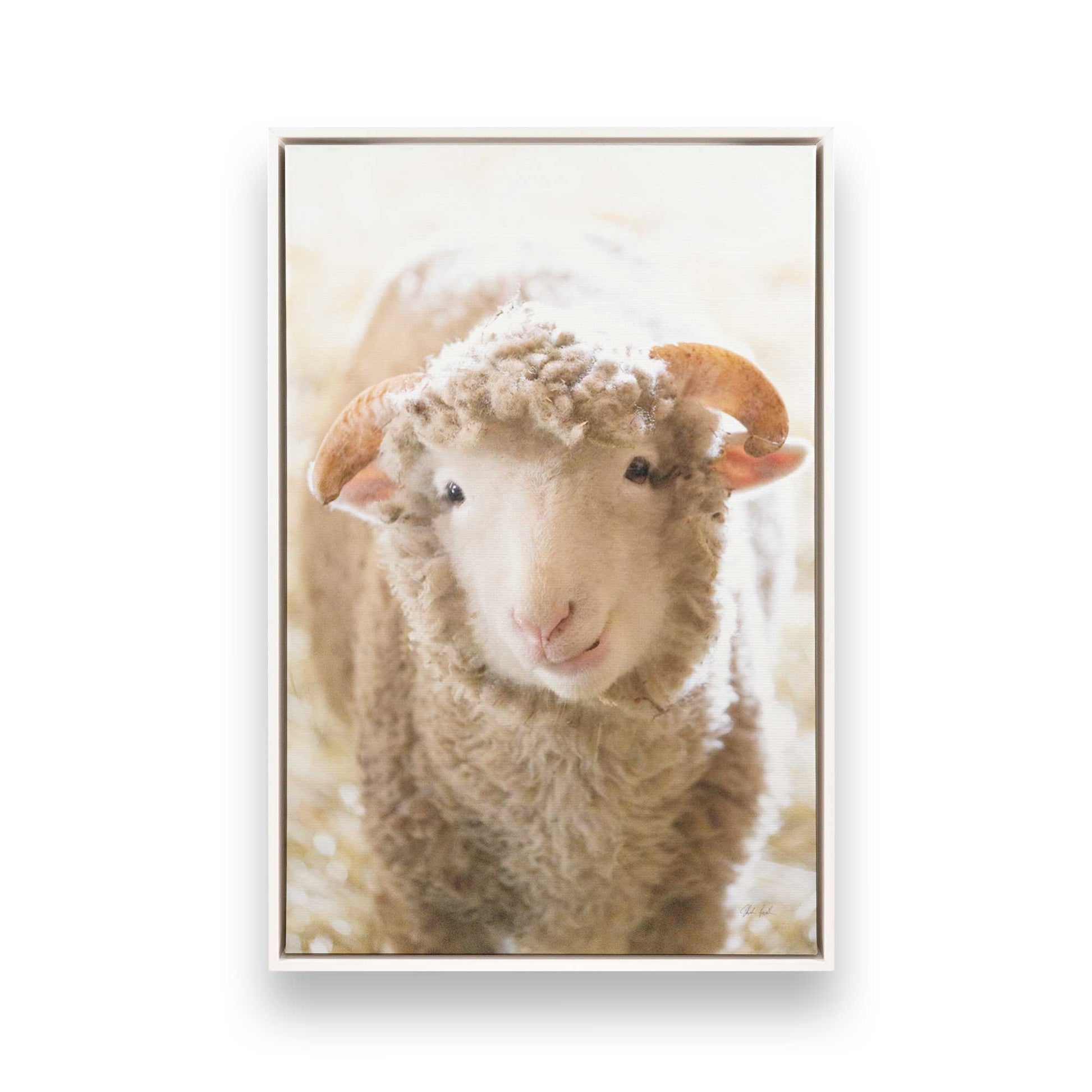 [Color:Opaque White], Picture of art in a White frame