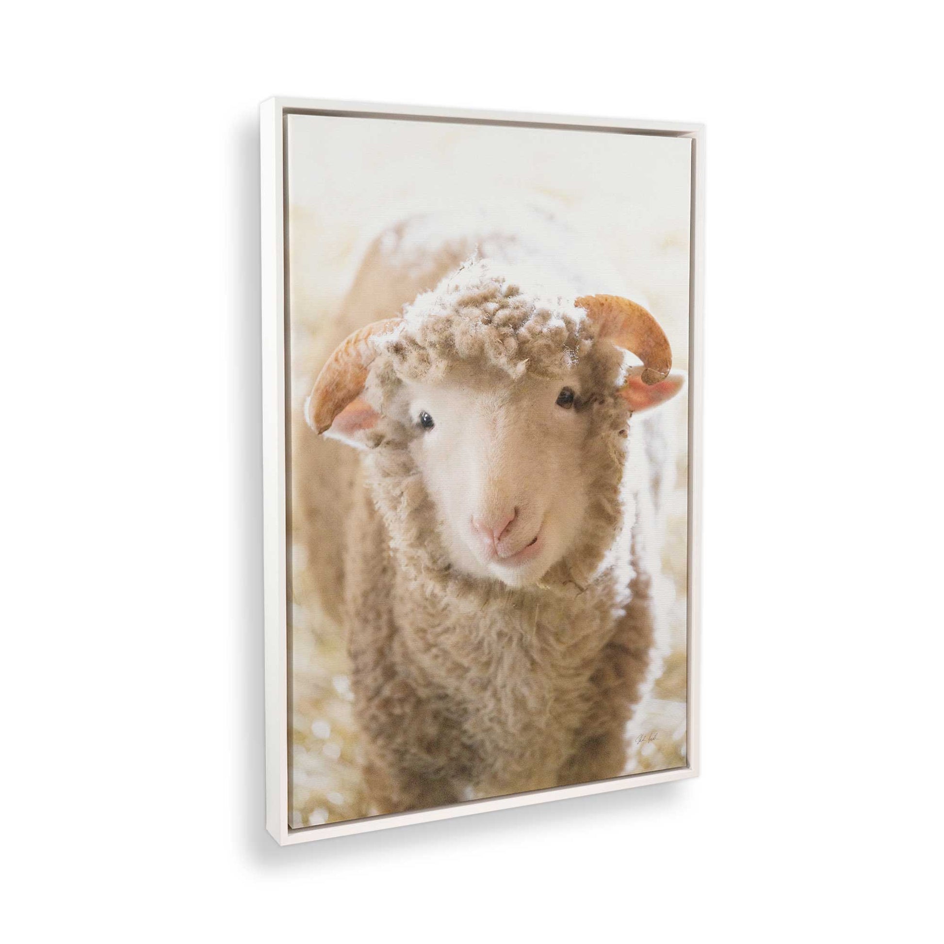 [Color:Opaque White], Picture of the corner of the art