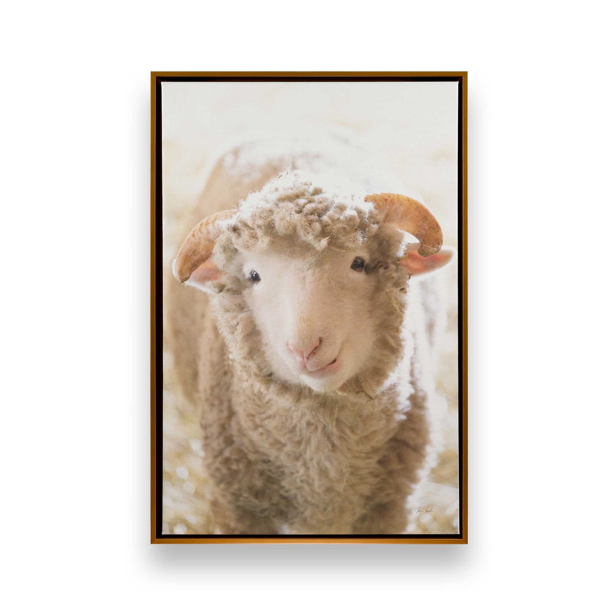 [Color:Polished Gold], Picture of art in a Polished Gold frame