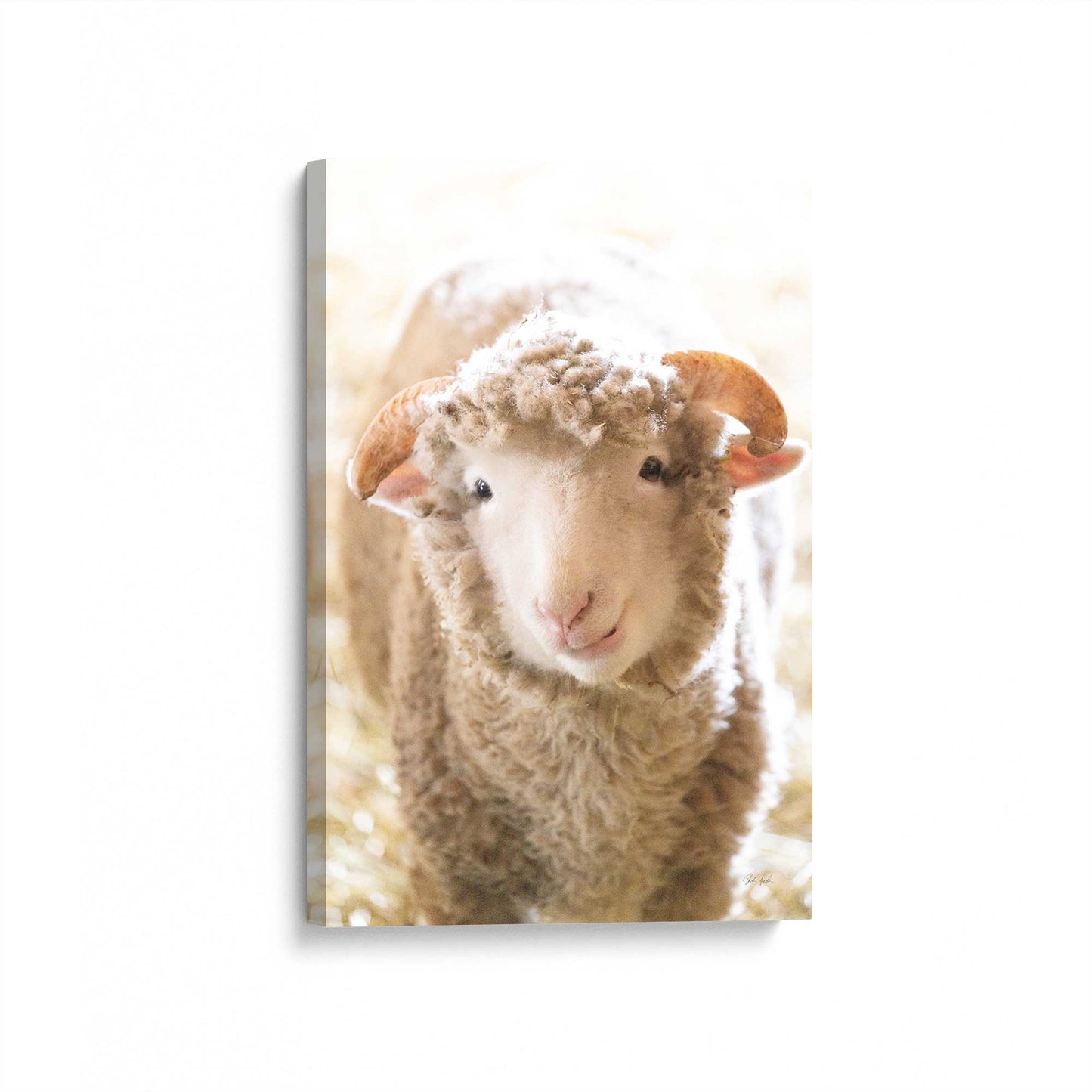 [Color:Stretched Canvas], Picture of art at an angle