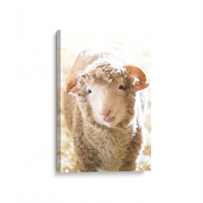 [Color:Stretched Canvas], Picture of art at an angle