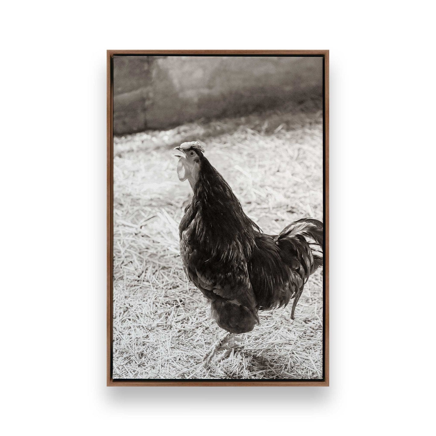 [Color:Walnut], Picture of art in a Walnut frame