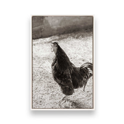 [Color:Opaque White], Picture of art in a White frame