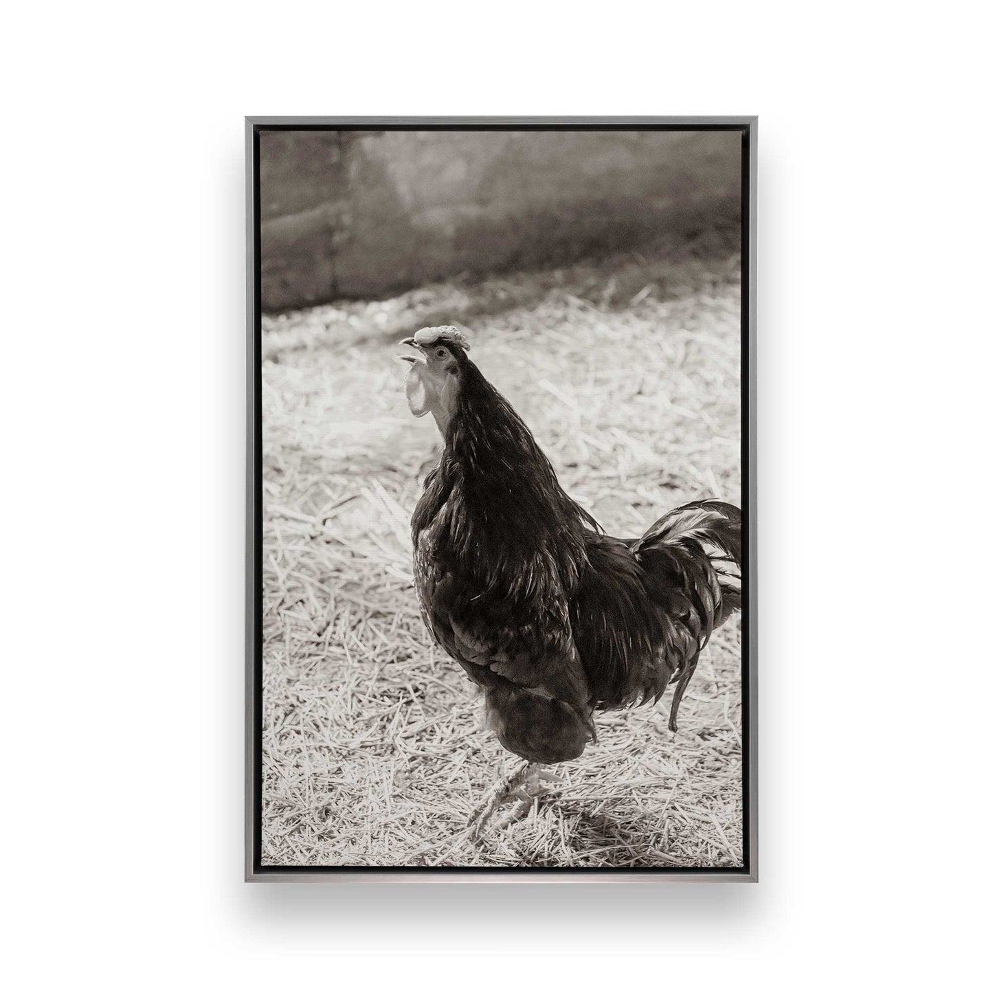 [Color:Polished Chrome], Picture of art in a Polished Chrome frame
