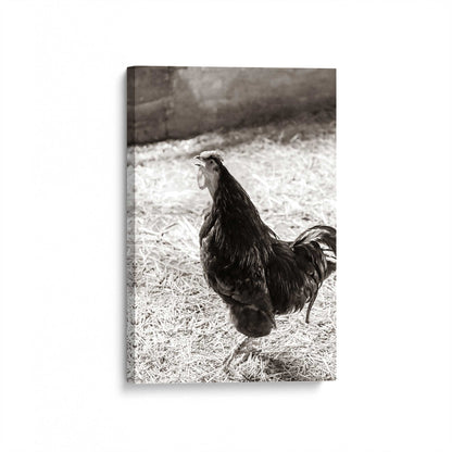 [Color:Stretched Canvas], Picture of art at an angle