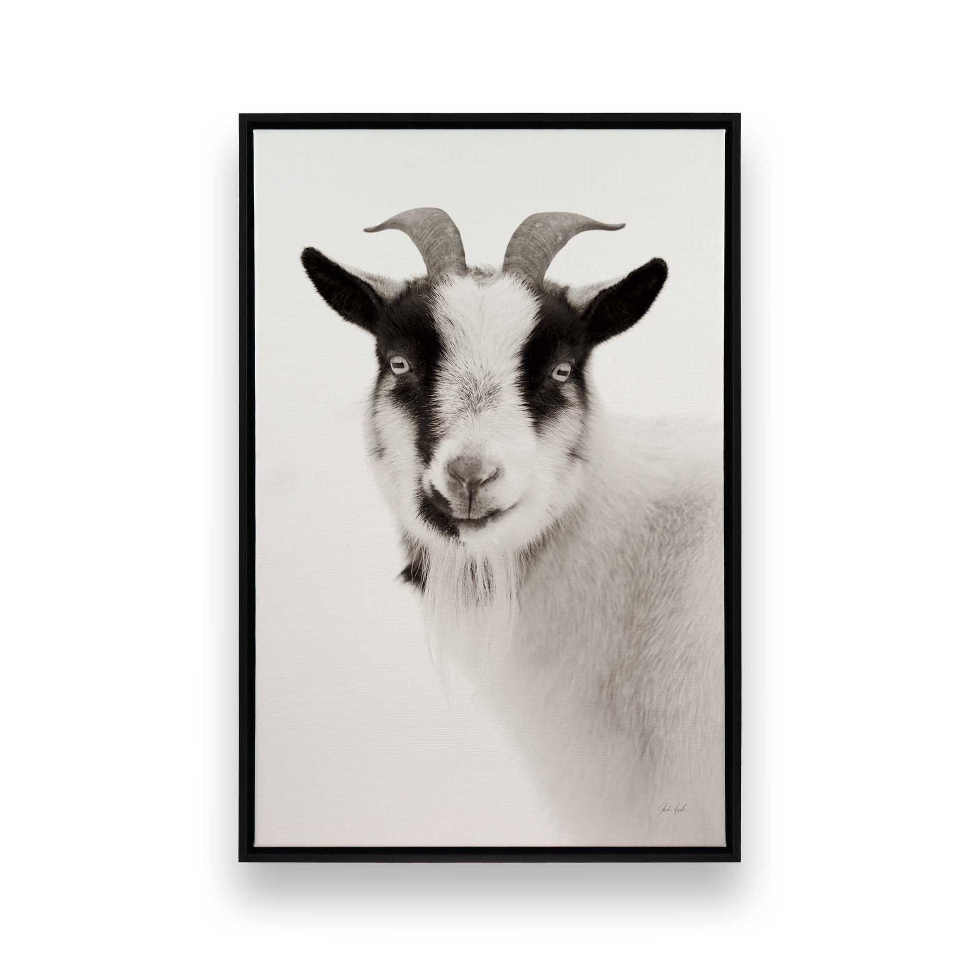 [Color:Satin Black], Picture of art in a Satin Black frame