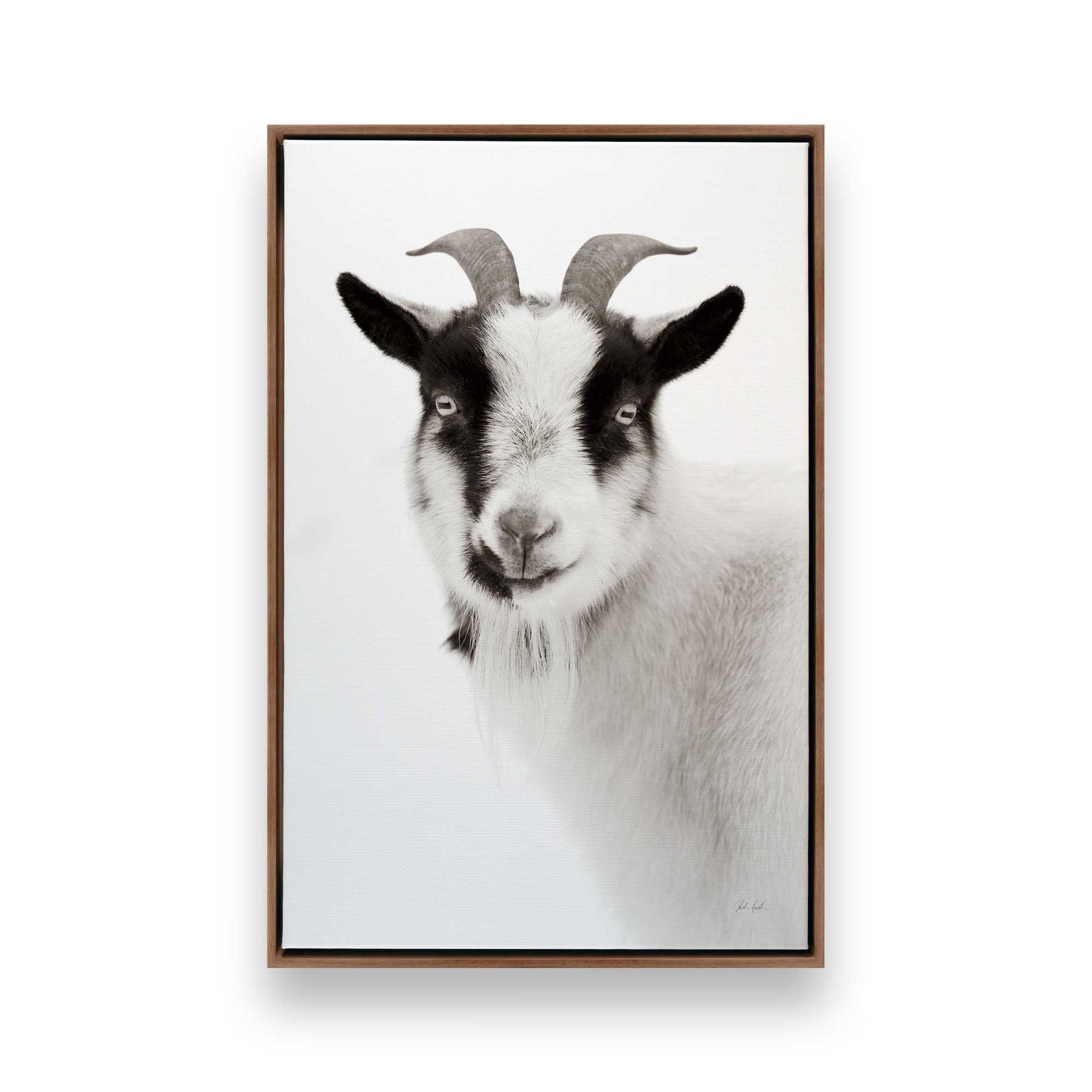 [Color:Walnut], Picture of art in a Walnut frame
