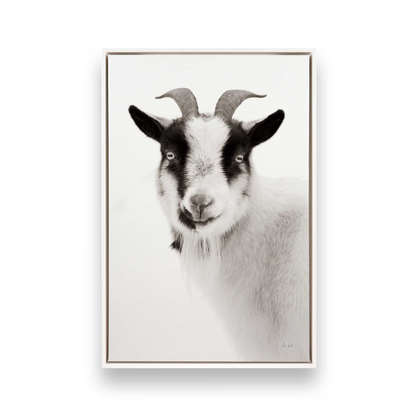 [Color:Opaque White], Picture of art in a White frame