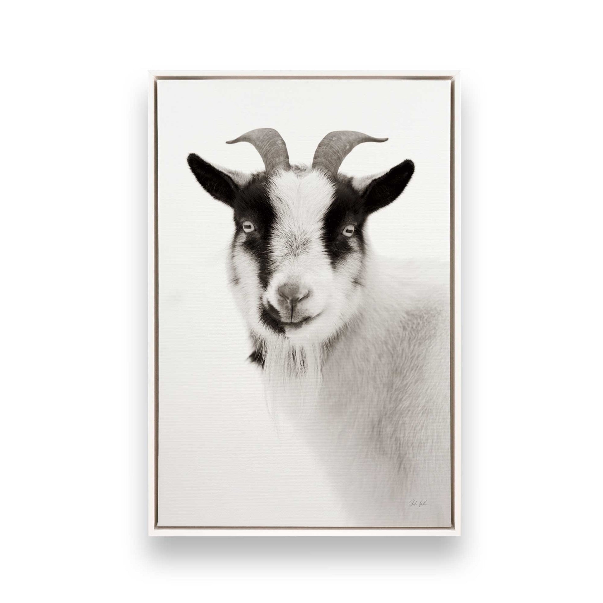 [Color:Opaque White], Picture of art in a White frame