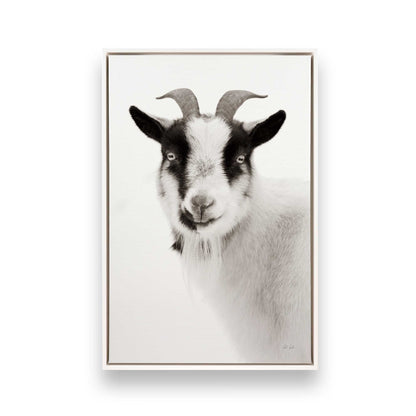 [Color:Opaque White], Picture of art in a White frame