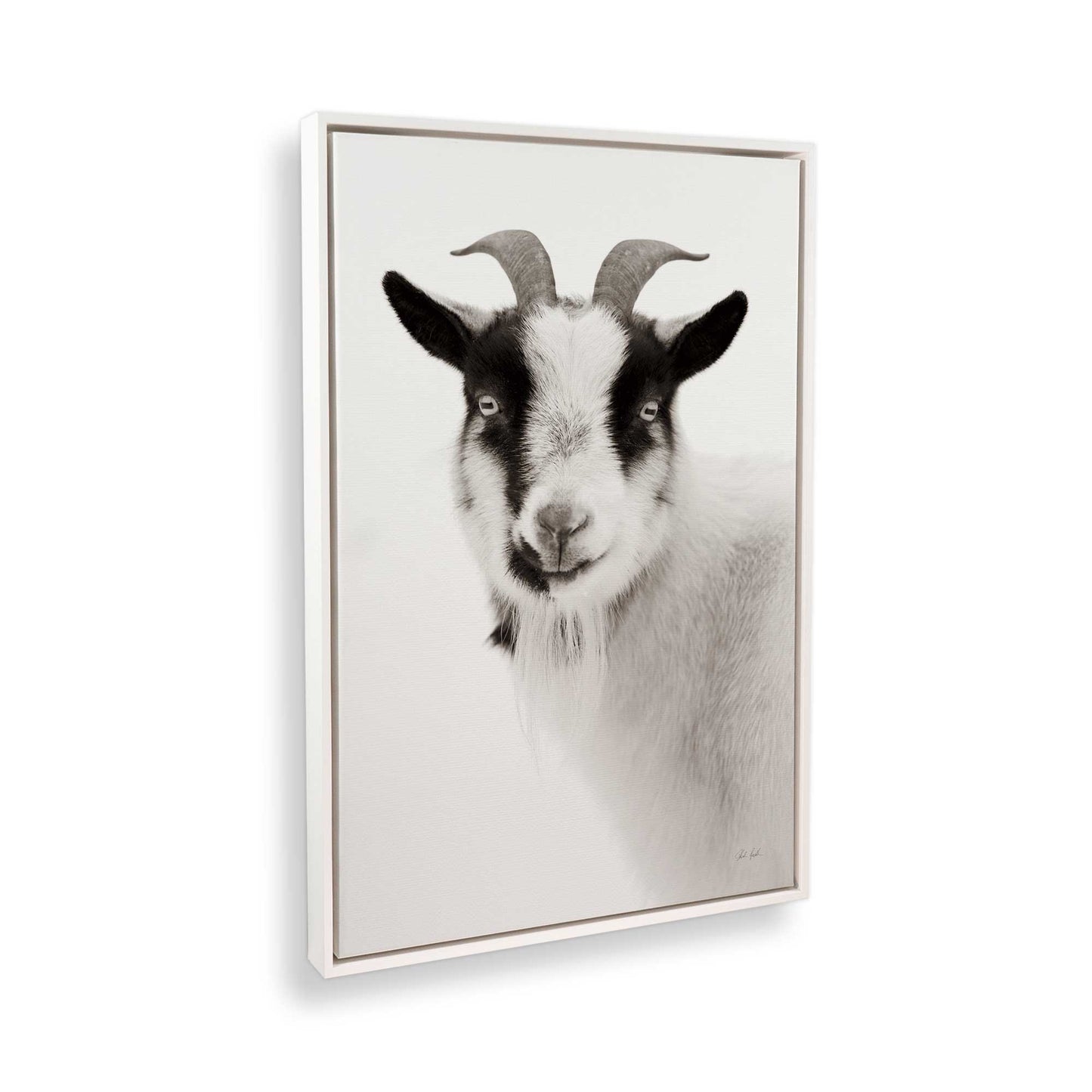 [Color:Opaque White], Picture of the corner of the art