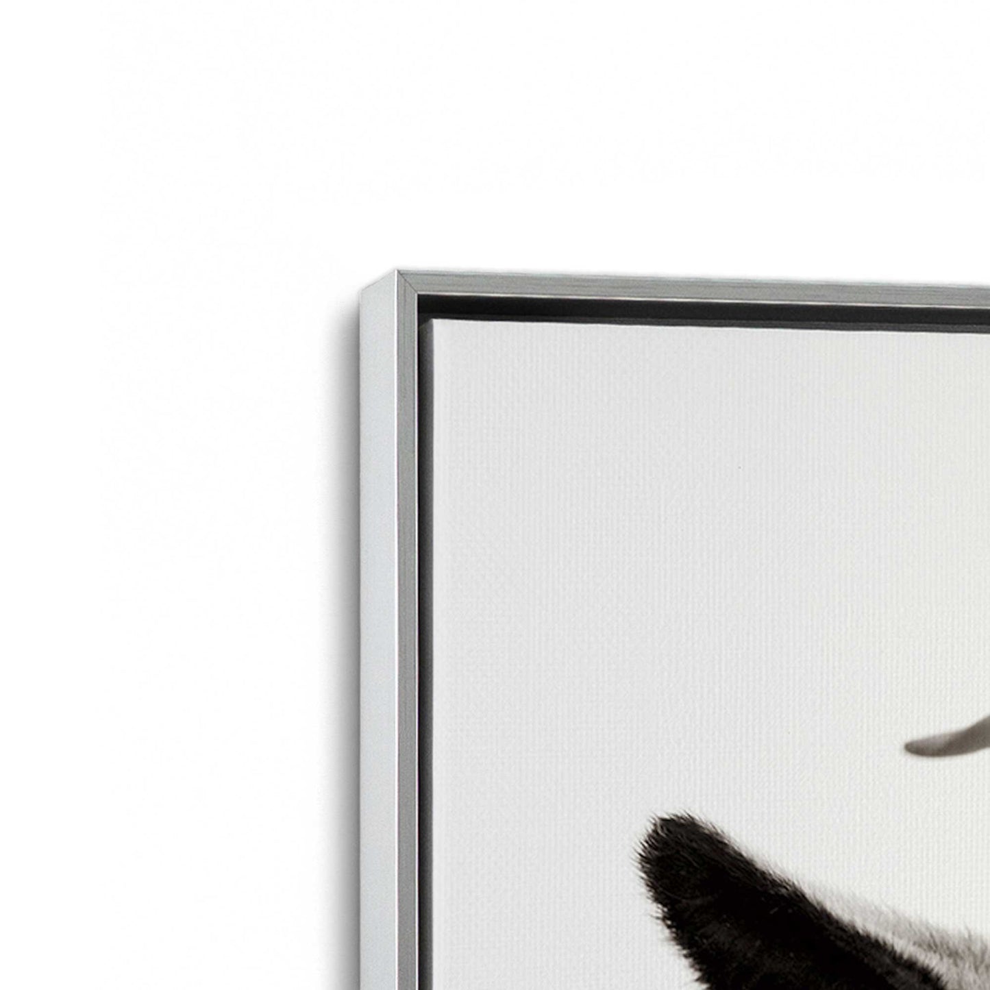 [Color:Polished Chrome], Picture of art in a Polished Chrome frame at an angle