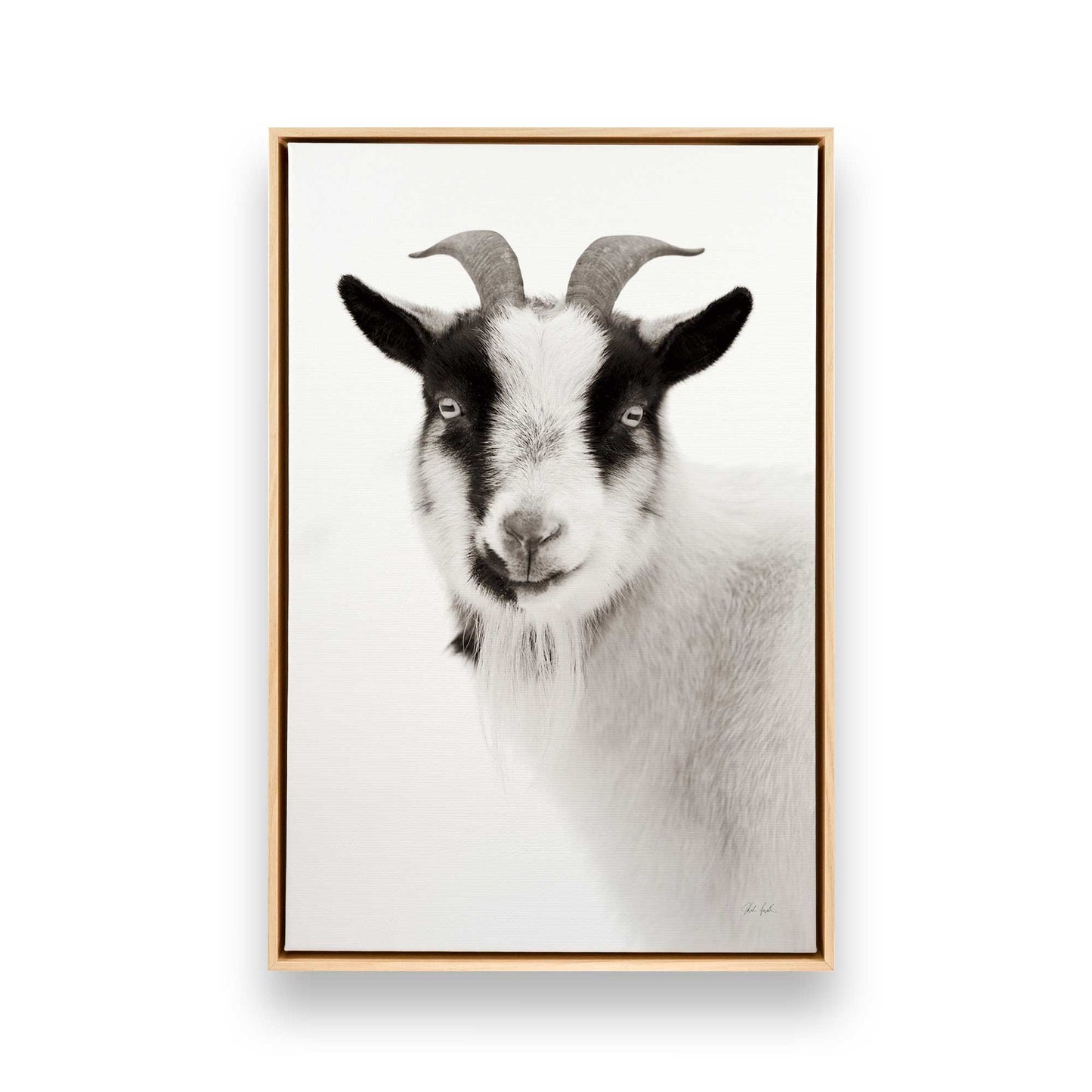 [Color:American Maple], Picture of art in a American Maple frame
