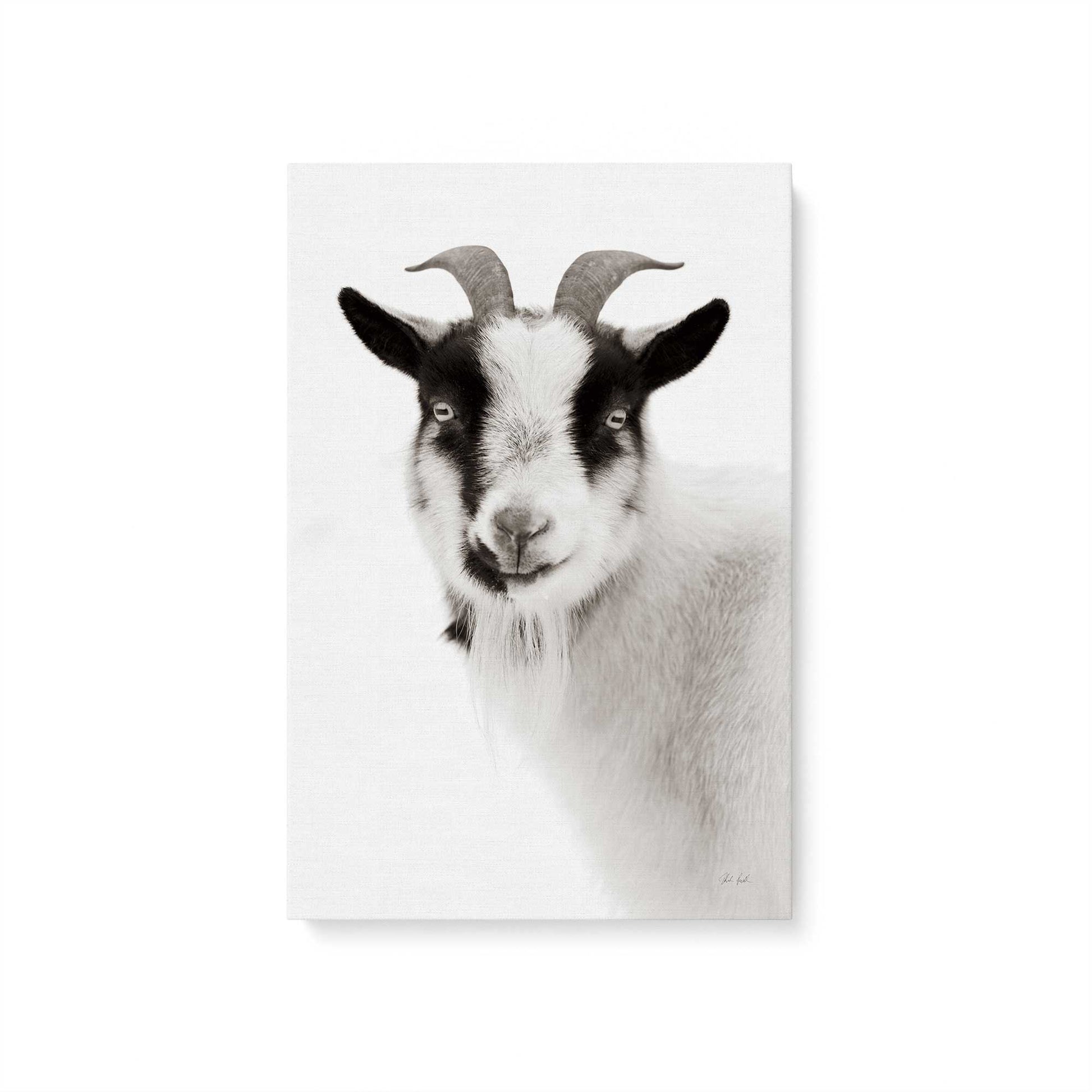 [Color:Stretched Canvas], Picture of art