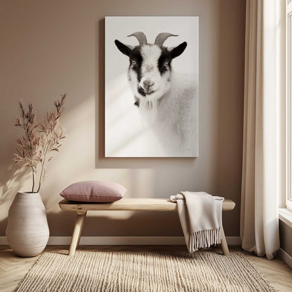 Picture of art in a room