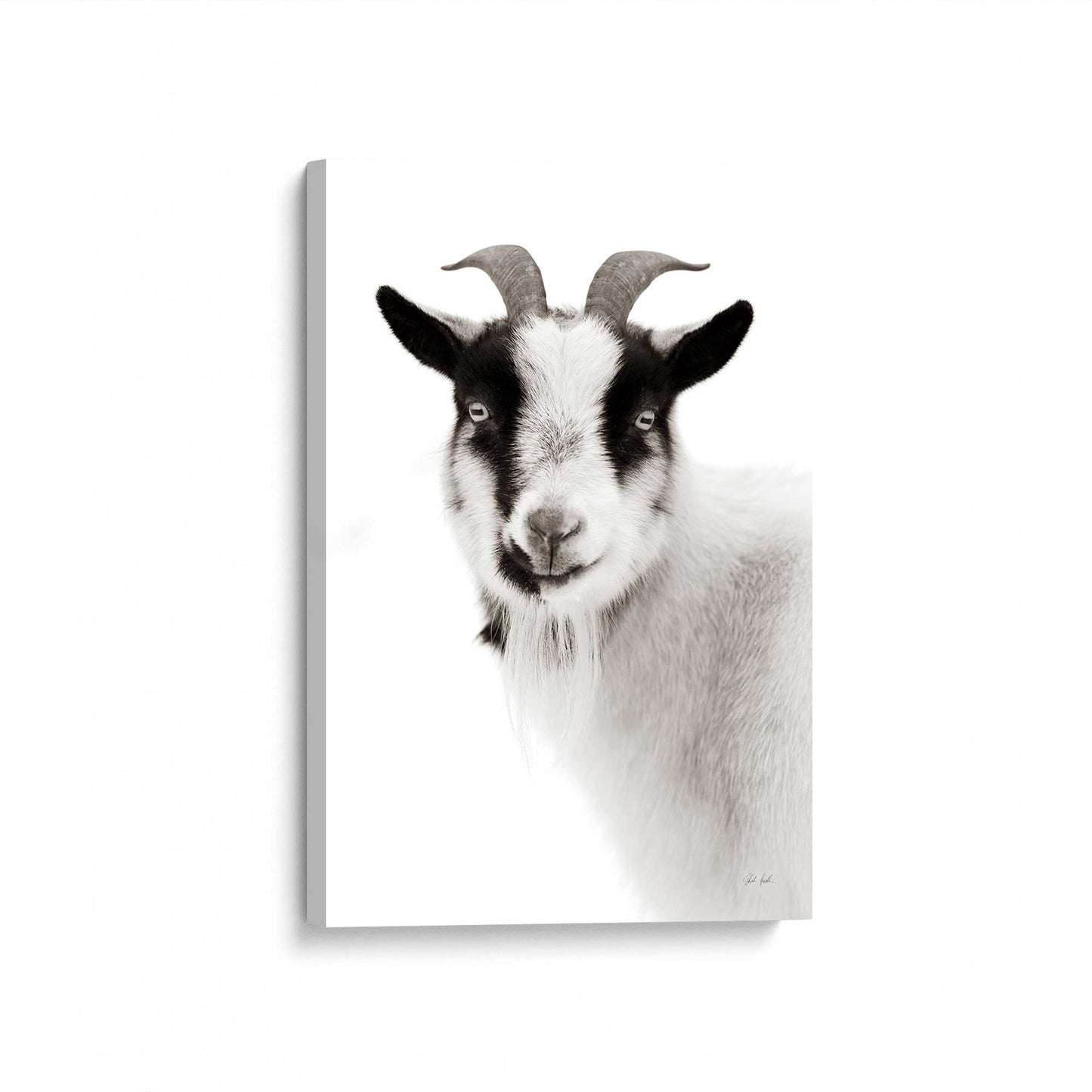 [Color:Stretched Canvas], Picture of art at an angle