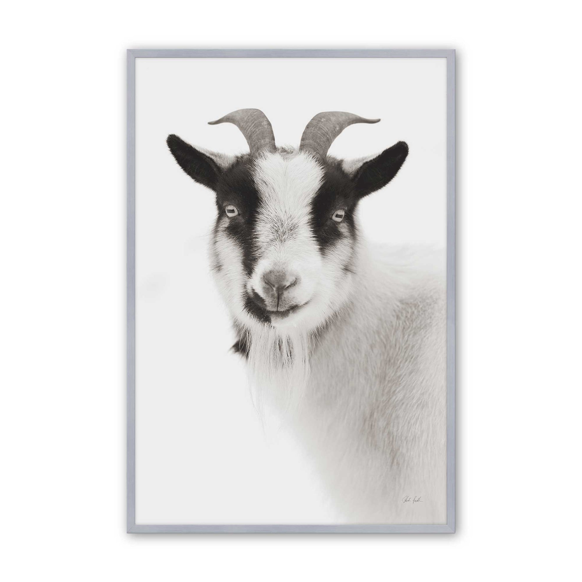 [Color:Polished Chrome], Picture of art in a Polished Chrome frame