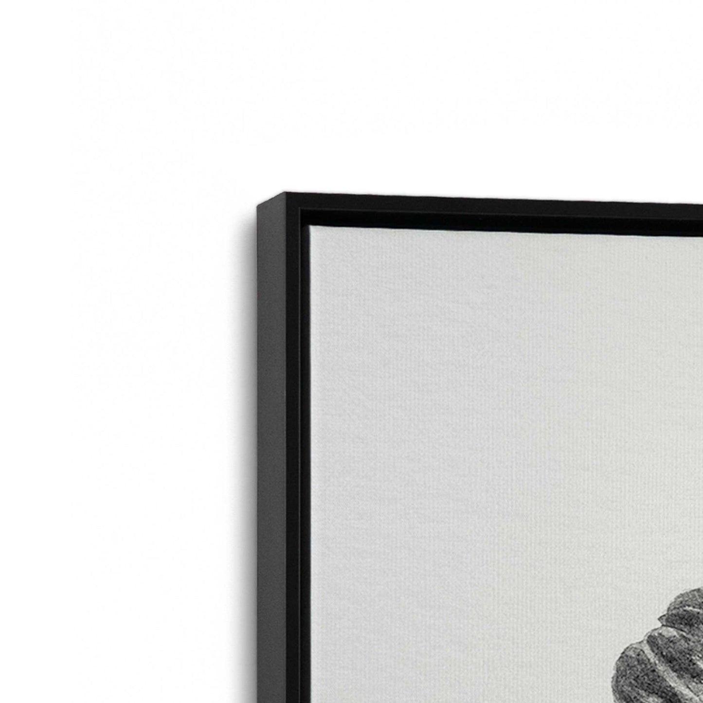 [Color:Satin Black], Picture of art in a Satin Black frame at an angle