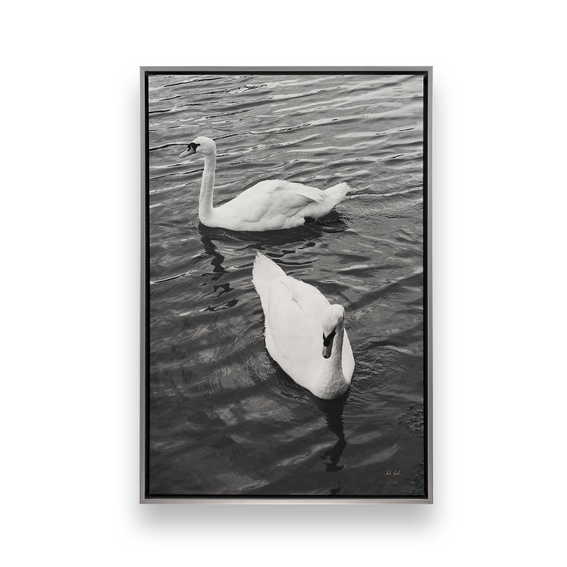 [Color:Polished Chrome], Picture of art in a Polished Chrome frame