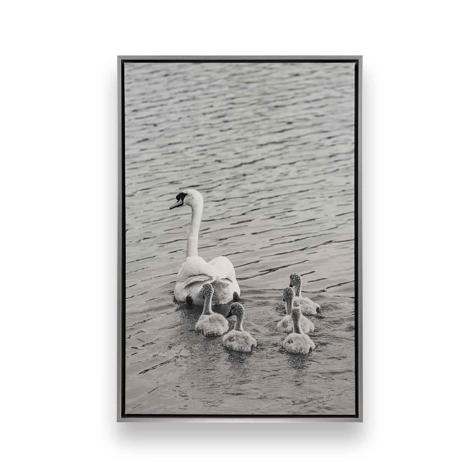 [Color:Polished Chrome], Picture of art in a Polished Chrome frame