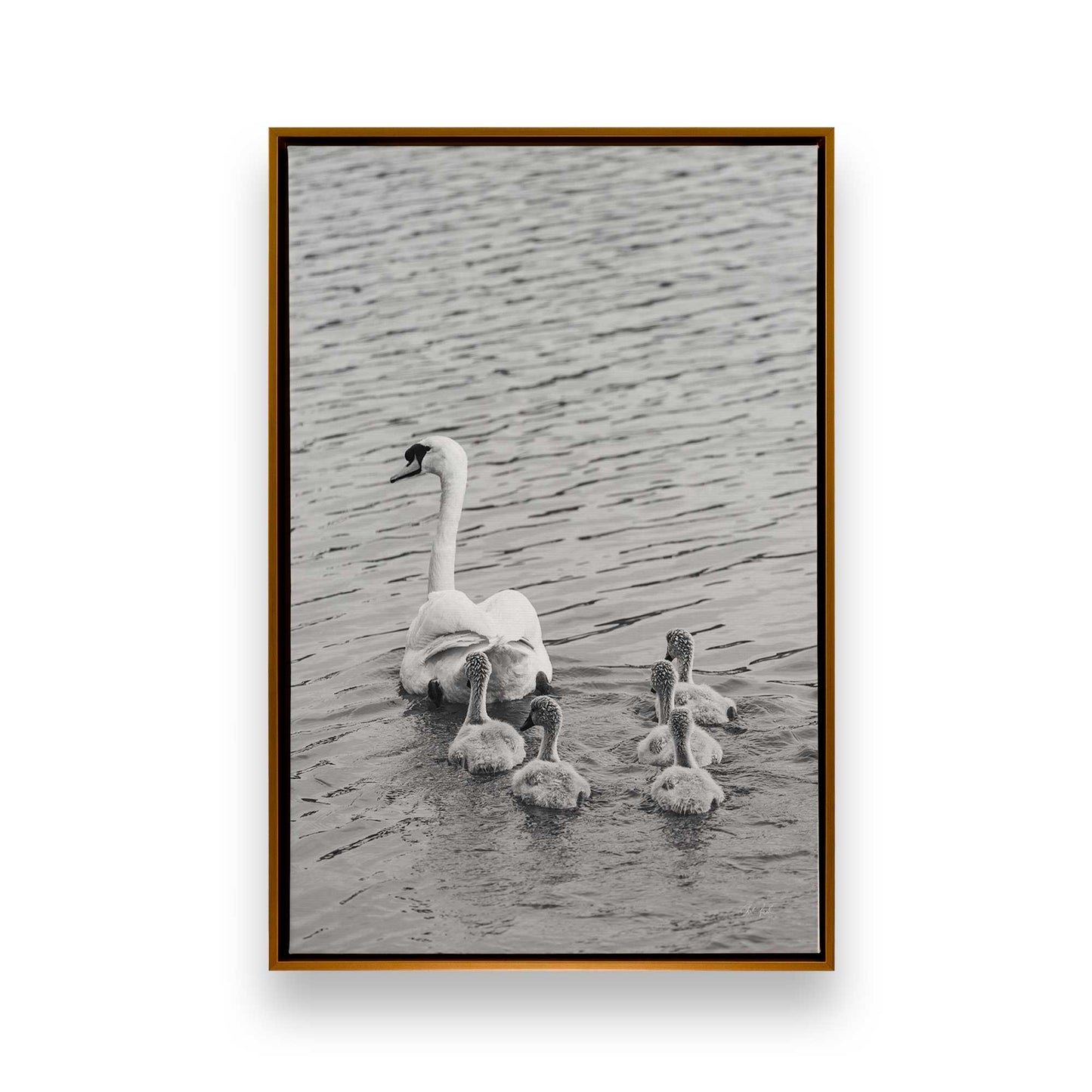 [Color:Polished Gold], Picture of art in a Polished Gold frame