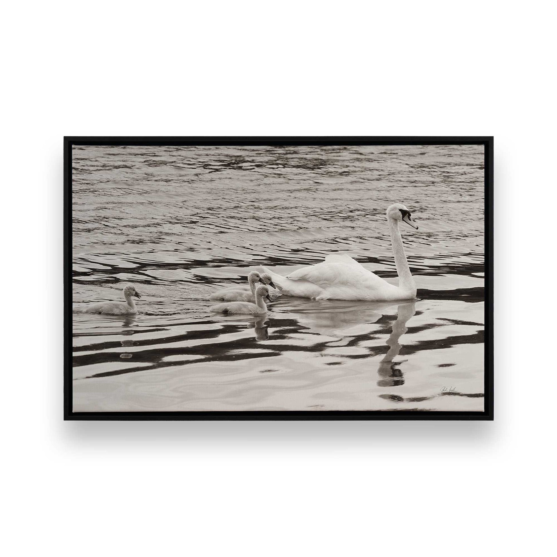 [Color:Satin Black], Picture of art in a Satin Black frame