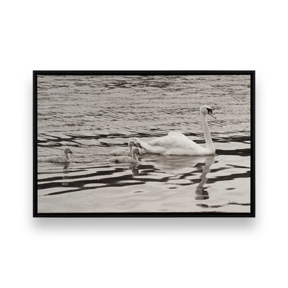 [Color:Satin Black], Picture of art in a Satin Black frame