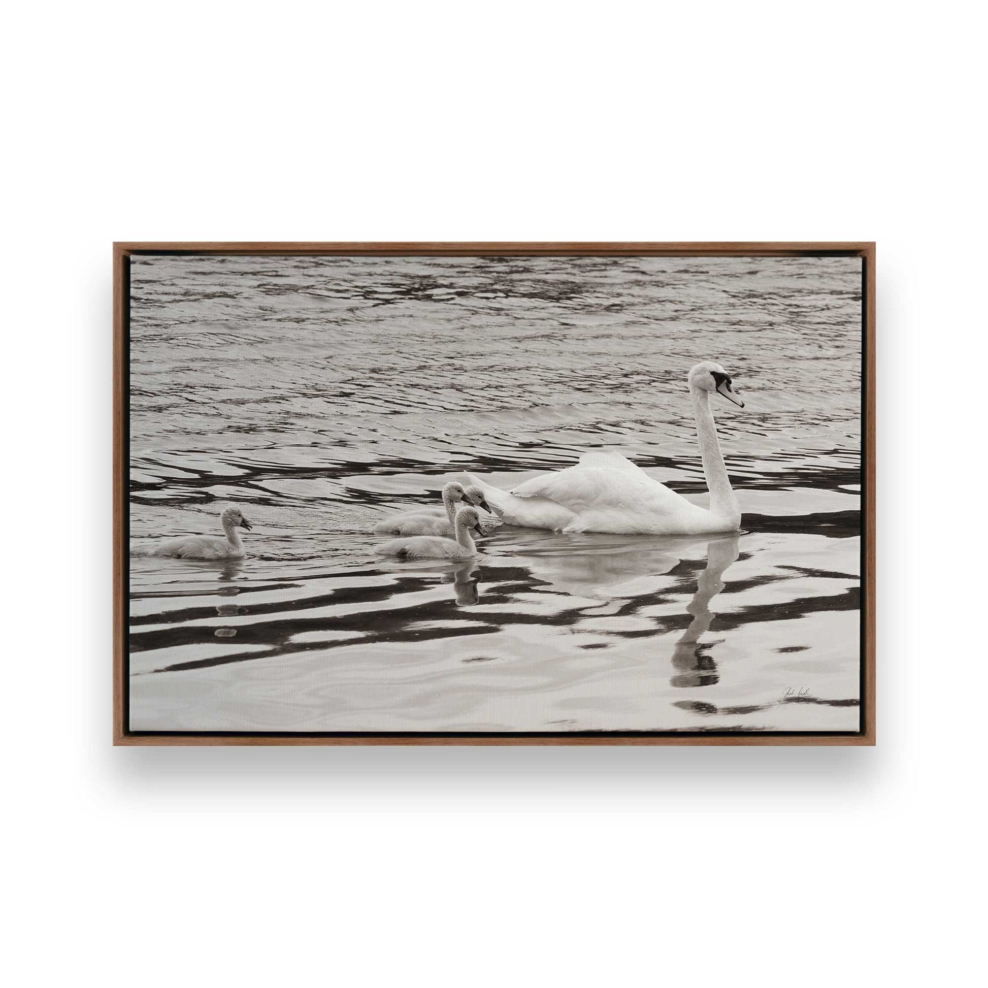 [Color:Walnut], Picture of art in a Walnut frame