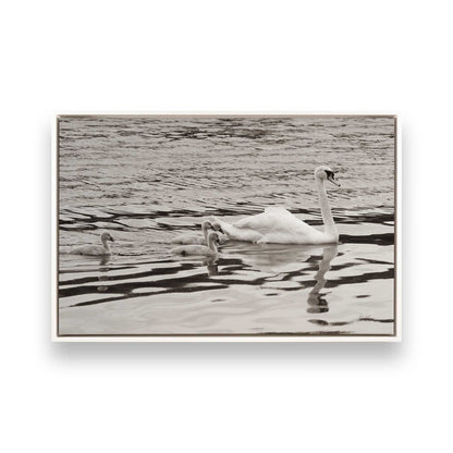 [Color:Opaque White], Picture of art in a White frame