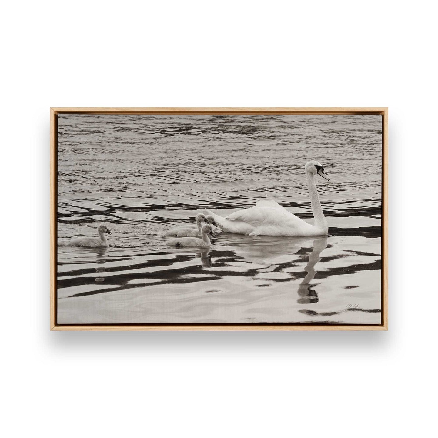 [Color:American Maple], Picture of art in a American Maple frame