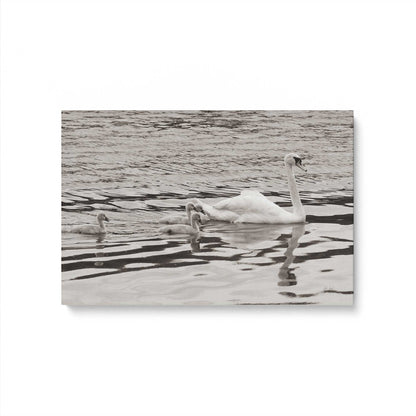[Color:Stretched Canvas], Picture of art