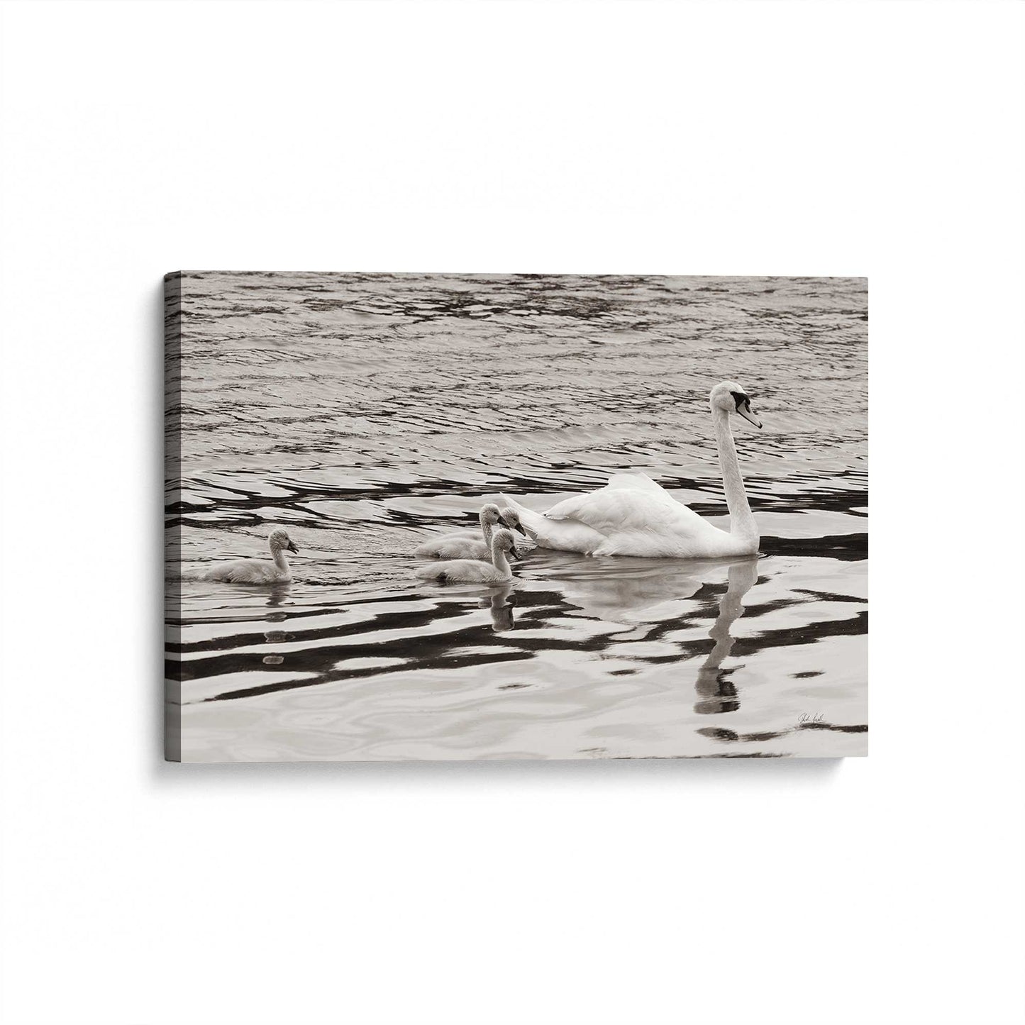 [Color:Stretched Canvas], Picture of art at an angle