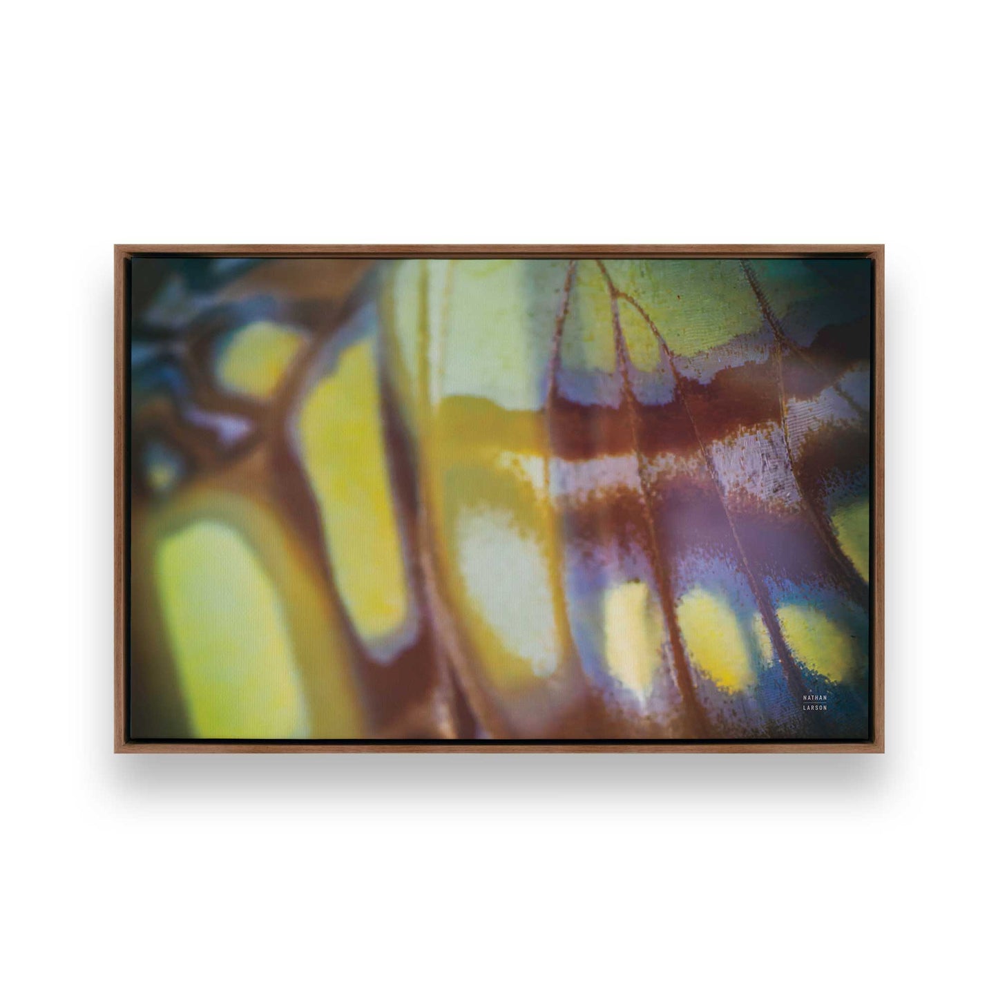 [Color:Walnut], Picture of art in a Walnut frame