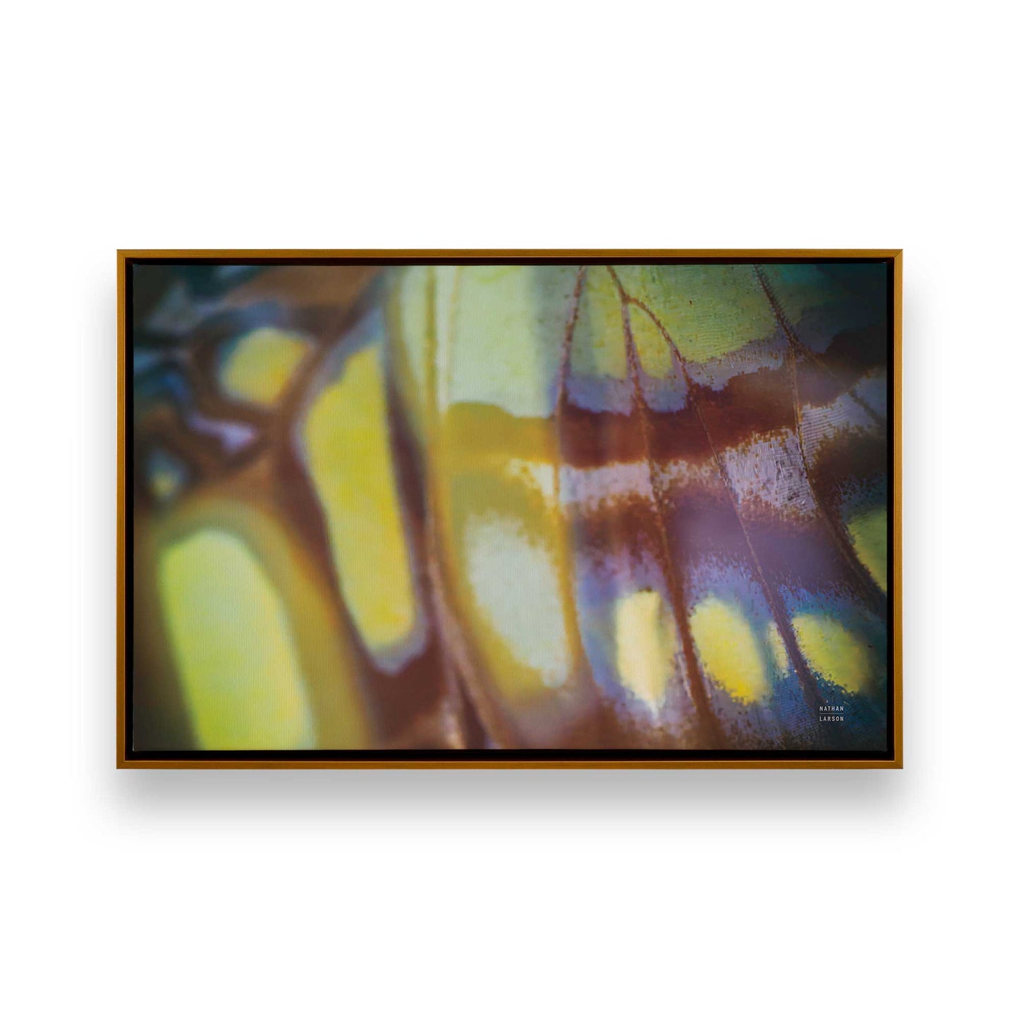 [Color:Polished Gold], Picture of art in a Polished Gold frame