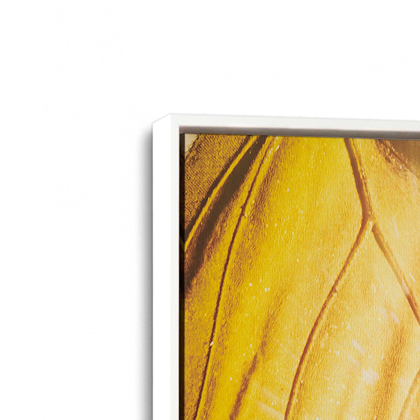 [Color:Opaque White], Picture of art in a White frame at an angle
