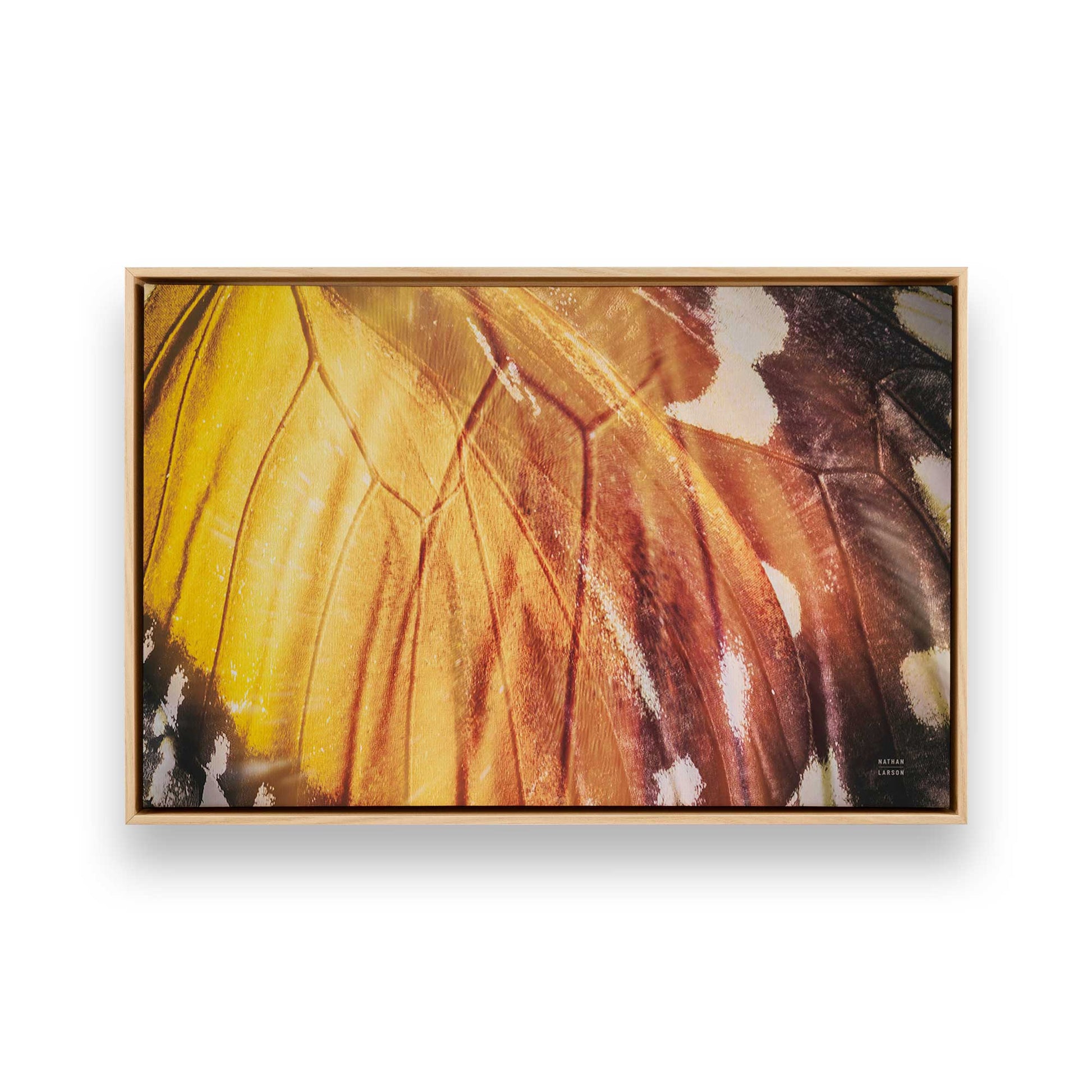 [Color:American Maple], Picture of art in a American Maple frame