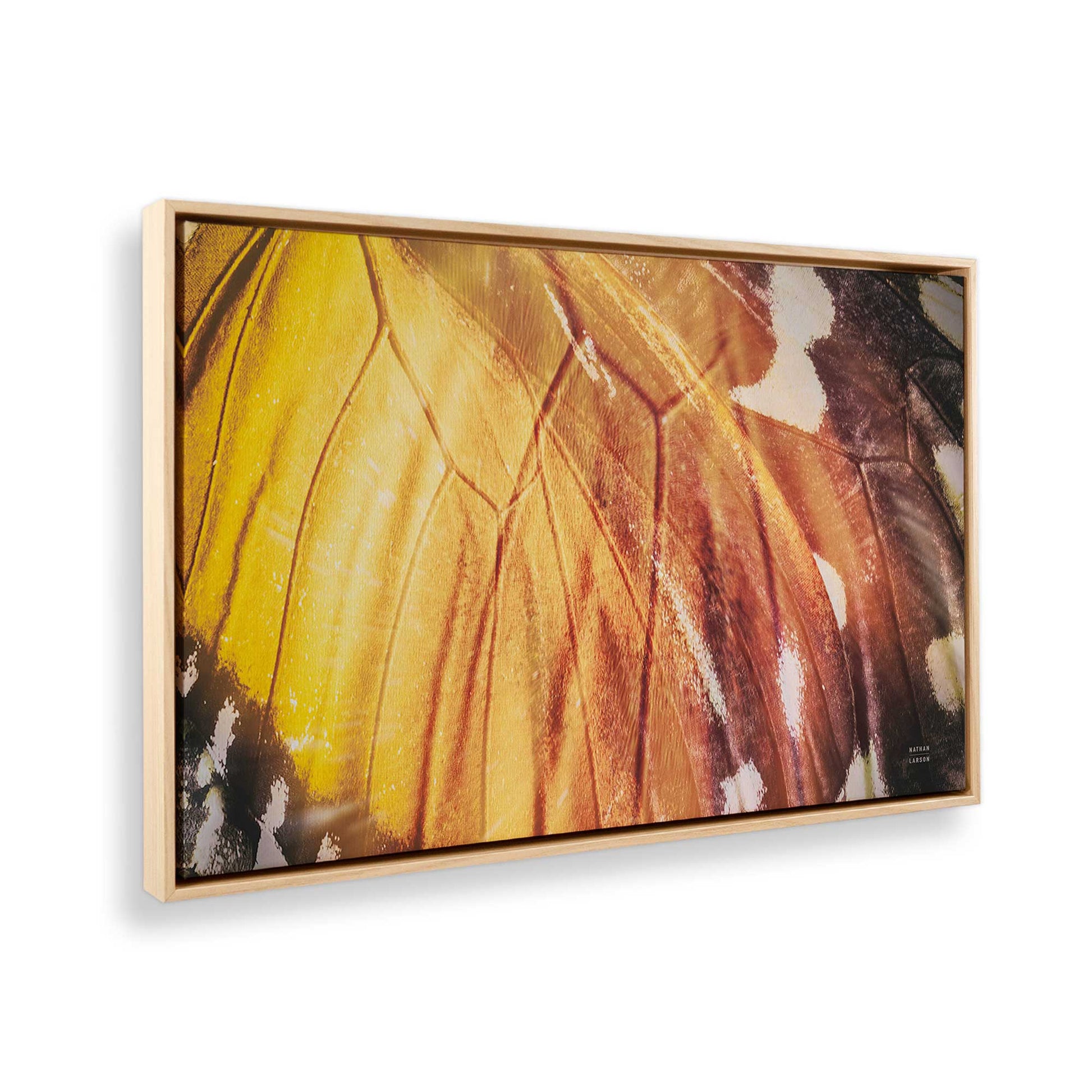 [Color:American Maple], Picture of the corner of the art